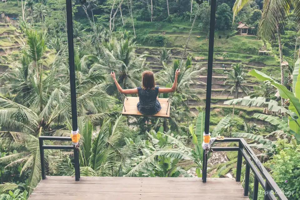 2_Real Bali Swing