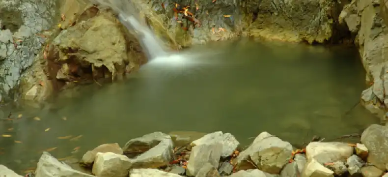 리도 빈야드 주변 호텔