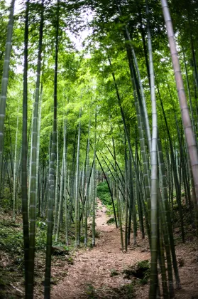 Отели с услугой парковкой в г. Анжи