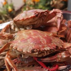 海鲜居(海滨路店) User Photo
