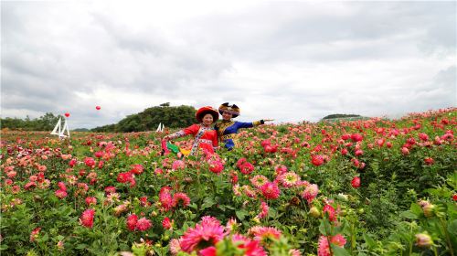 陽光雲漫1660彝山花谷