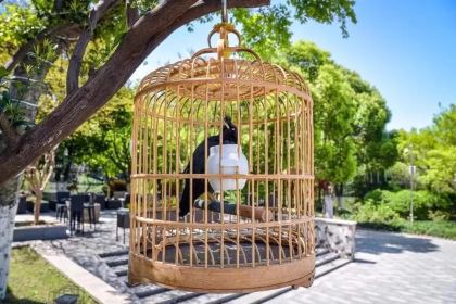 檀悦酒店(无锡三阳广场店)·檀悦·宁阁 粤甬菜