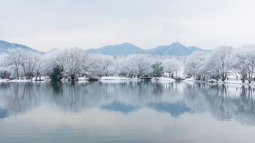 茅家埠