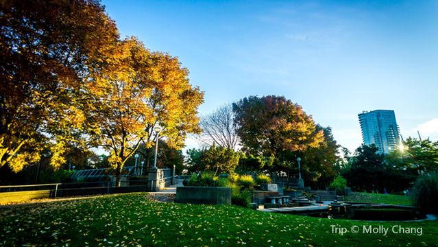 Andy Livingstone Park