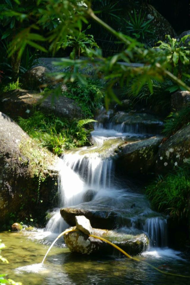 日本村