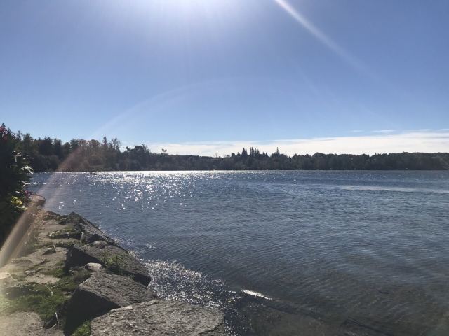 Wilcox Lake