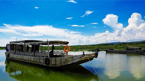 Dongxing