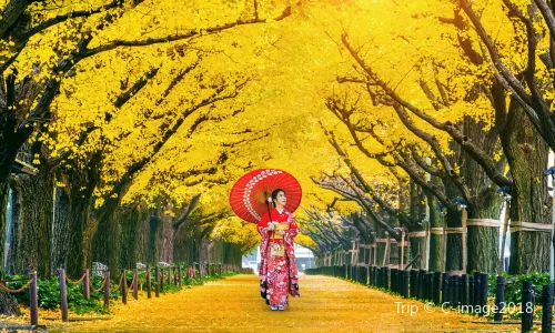 Kimono Experiences in Tokyo