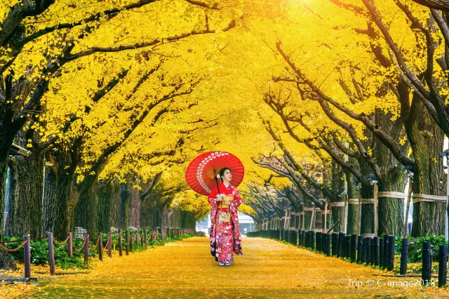 Kimono Experiences in Tokyo