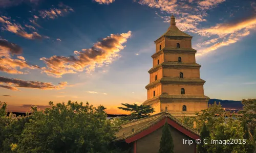 Big Wild Goose Pagoda