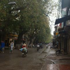 Quan Bia Cau Cang Ca User Photo