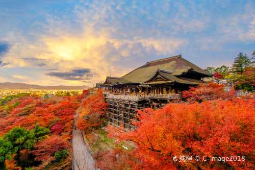 日本大阪往返京都清水寺+奈良公園+伏見稻荷大社一日遊【9人/13人精品小團/酒店上門接送可選 中文司導 純玩無購物 樱花季赏樱】