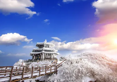 Muju