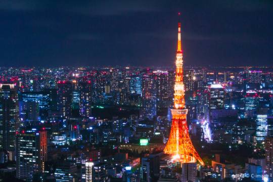 長野-東京 單程新幹線票