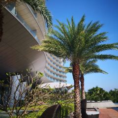 The Westin Blue Bay Resort & Spa· Five Sen5es User Photo
