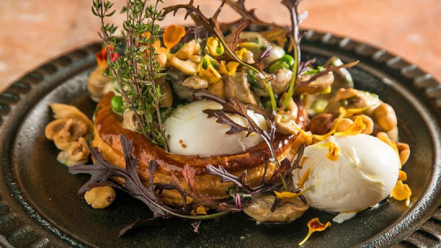 THE GROUNDS OF THE CITY