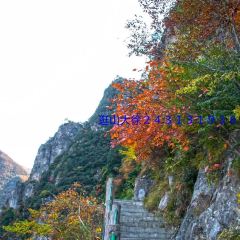 四海农庄 User Photo