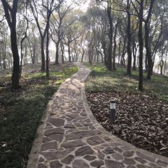 華東療養院餐廳張用戶圖片