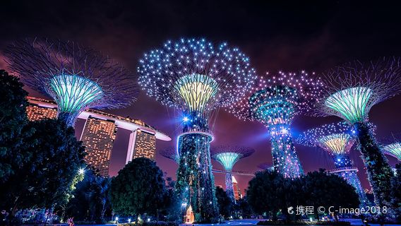 SingaporeTravel Services