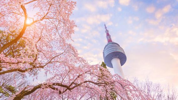 韓國首爾 專業導遊|地陪翻譯