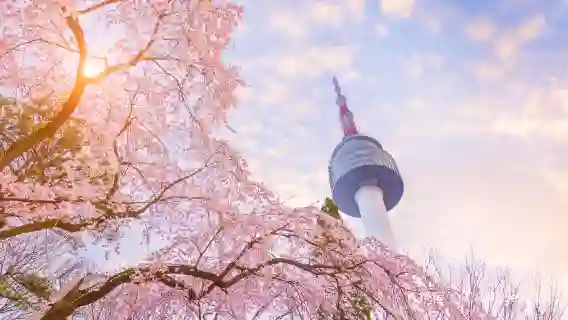 韓國首爾 專業導遊|地陪翻譯