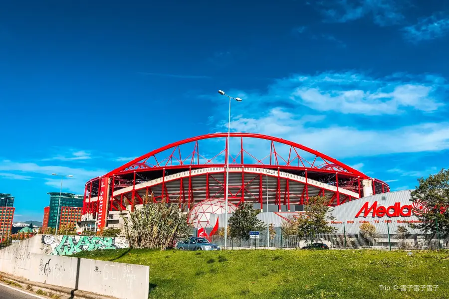 Stadium of Light