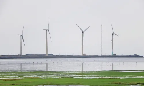 Gaomei Wetlands