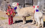 Inca City of Machu Picchu