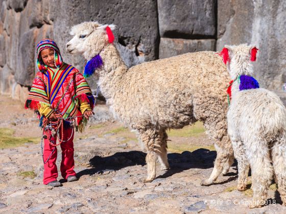 Inca City of Machu Picchu