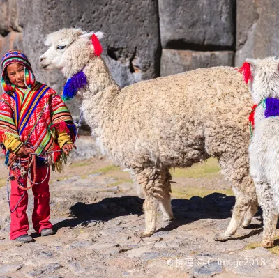 Asiana Airlines Flights to Chiclayo