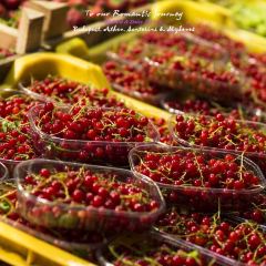 Paprika VendéglO 여행 사진