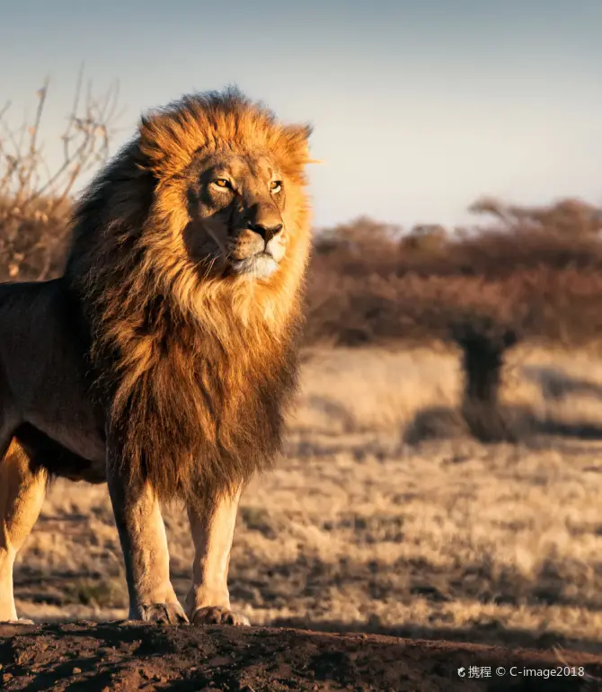 Serengeti National Park
