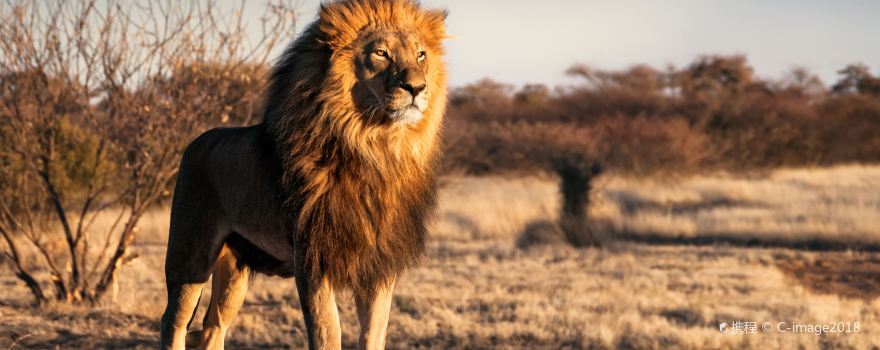Parco nazionale del Serengeti