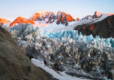 Fox Glacier