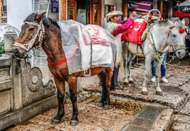 Lijiang Horse Riding