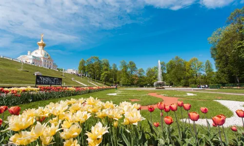 Schloss Peterhof