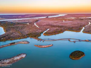 Yellow River Mouth Eco-Tourism Area
