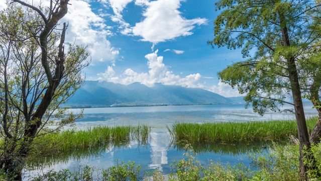 Haishe Ecological Park