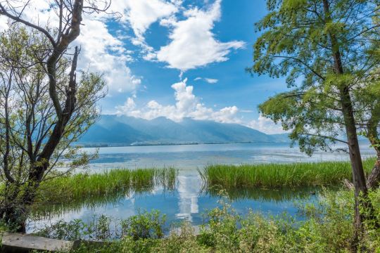 Haishe Ecological Park
