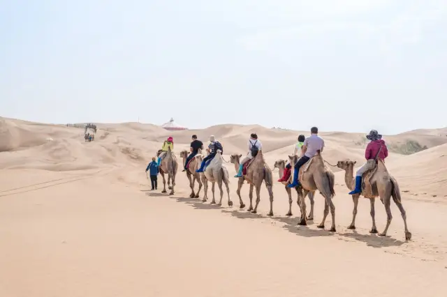 Camel Riding in Ordos