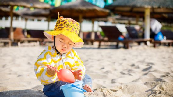 Tropical Paradise Forest Park + Yalong Bay Beach + Sun Bay Road Day Tour [Private Chartered Tour Excluding Tickets]