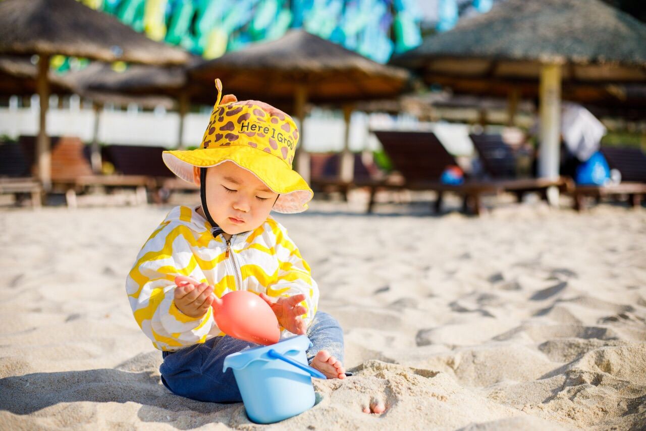 Tropical Paradise Forest Park + Yalong Bay Beach + Sun Bay Road Day Tour [Private Chartered Tour Excluding Tickets]