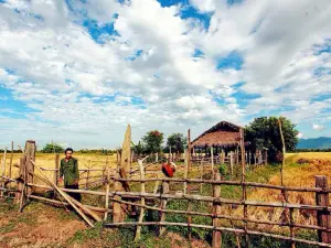 Roman Catholic Diocese of Myitkyina