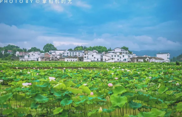 廣昌