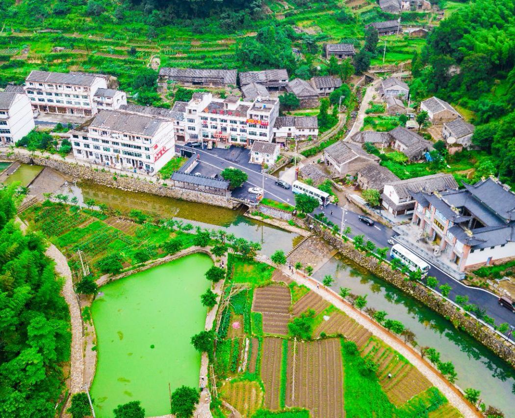 Shuikou Tea Culture Scenic Spot