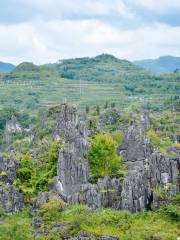 Zhulinbao Stone Forest