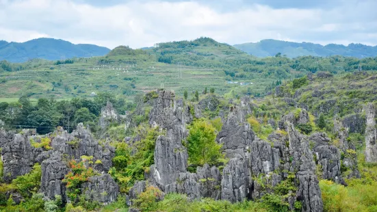 Zhulinbao Stone Forest