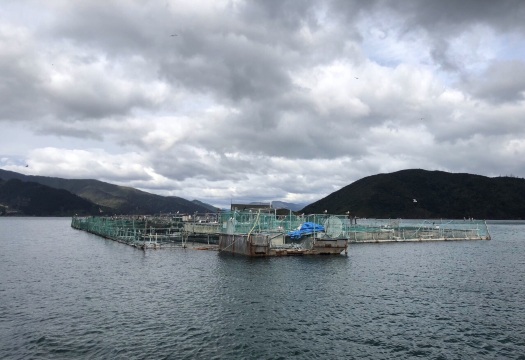 クック海峡のレビュー クック海峡のチケット クック海峡の割引 クック海峡の交通機関 所在地 営業時間 クック海峡周辺の観光スポット ホテル グルメ Trip Com クック海峡のレビュー クック海峡のチケット クック海峡の割引 クック海峡の交通機関 所在地 営業時間 クック海峡周辺の観光スポット ホテル グルメ Trip Com