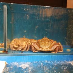 蟹的岡田屋(徐汇绿地缤纷城店) User Photo