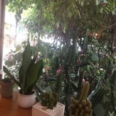 點味咖啡(WEi CAFE)張用戶圖片